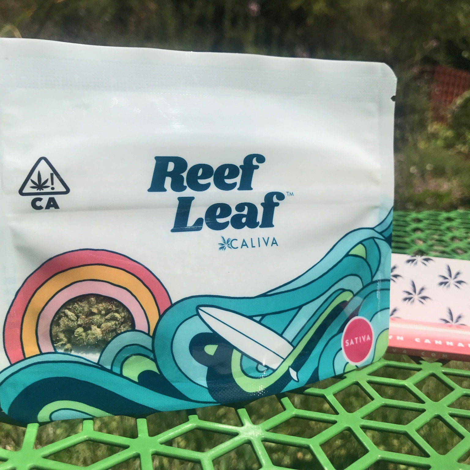 Reef Leaf on a Chair