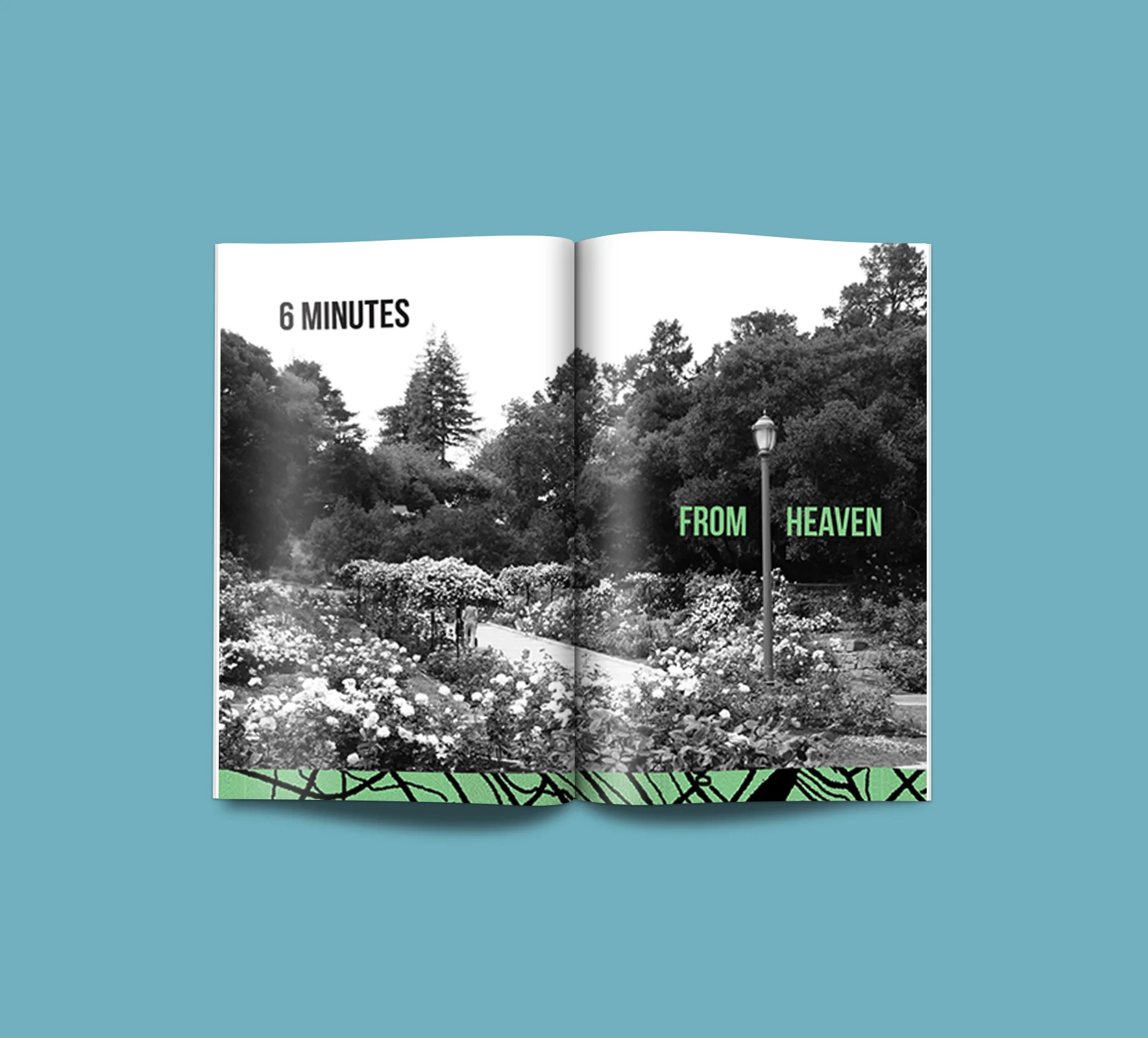 wheredoes_mockup_06.jpg