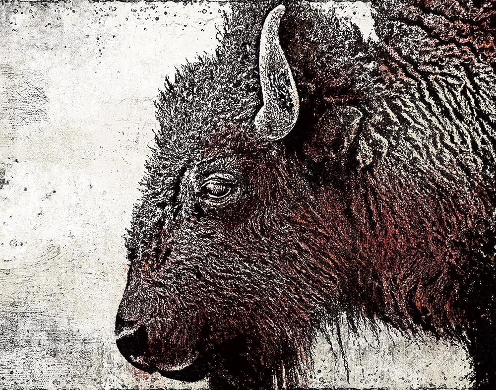 buffalo1000.jpg
