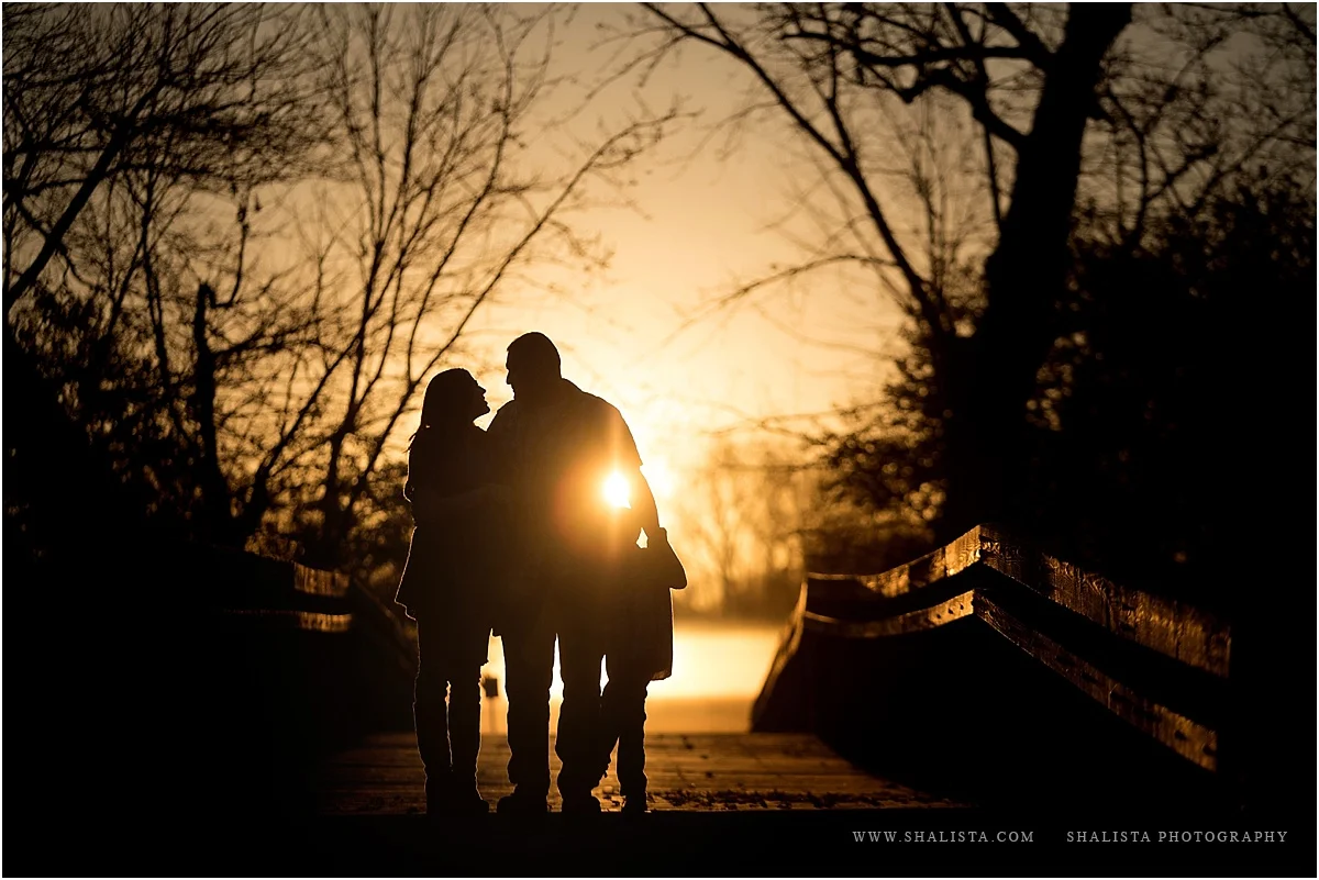 Morning Silhouette