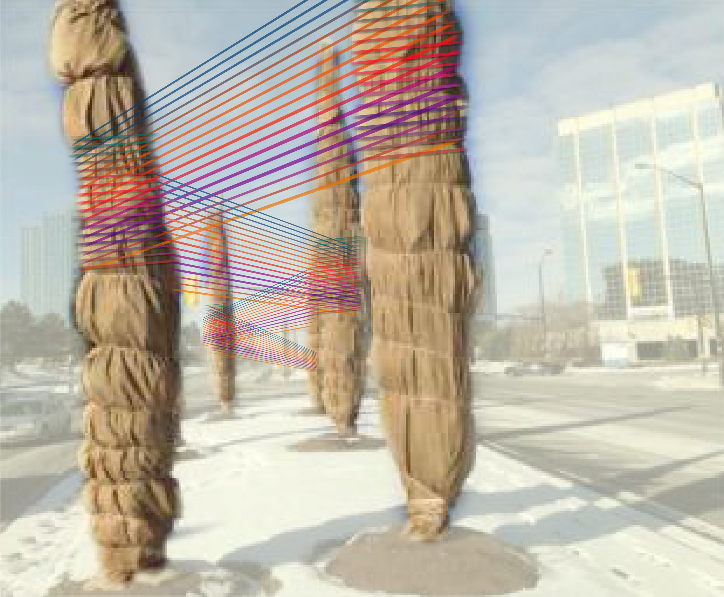tree wrap and flow.jpeg