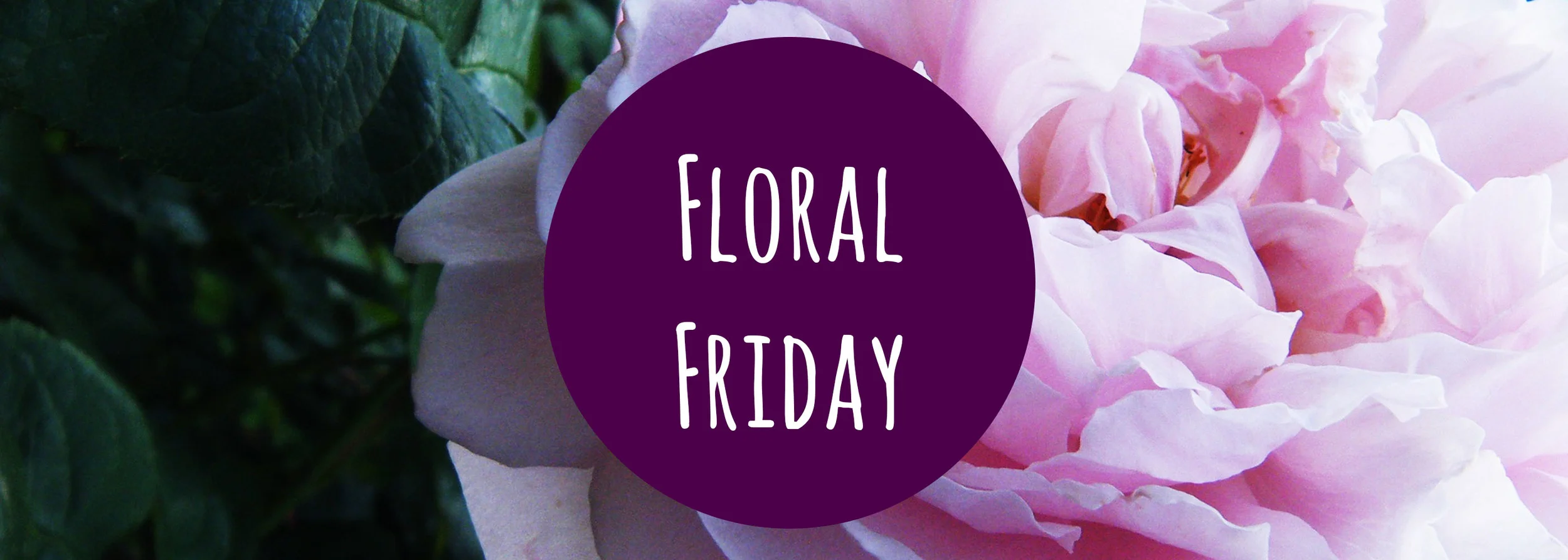Floral Friday #1