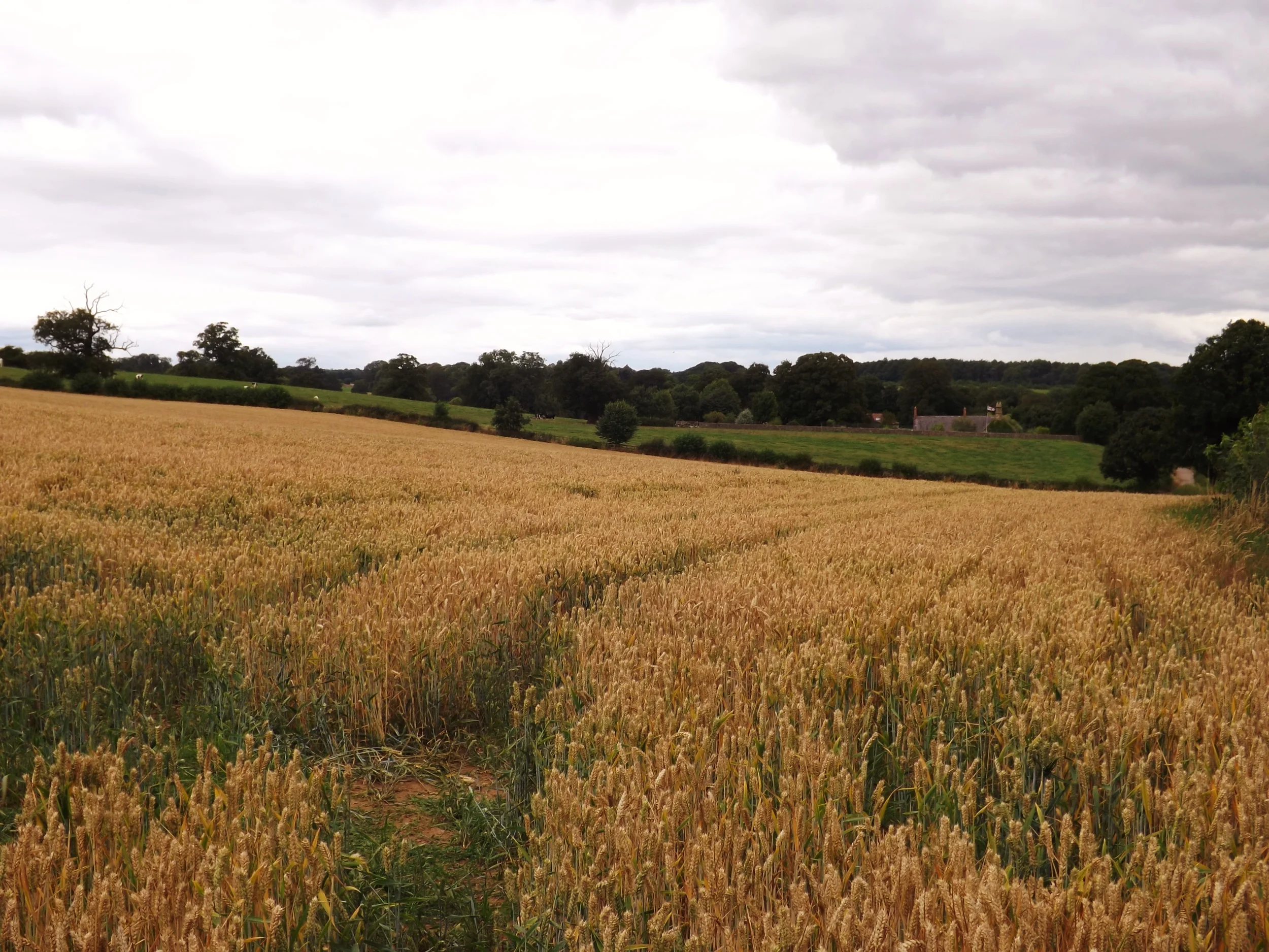 Go Visit: Fountain's Abbey