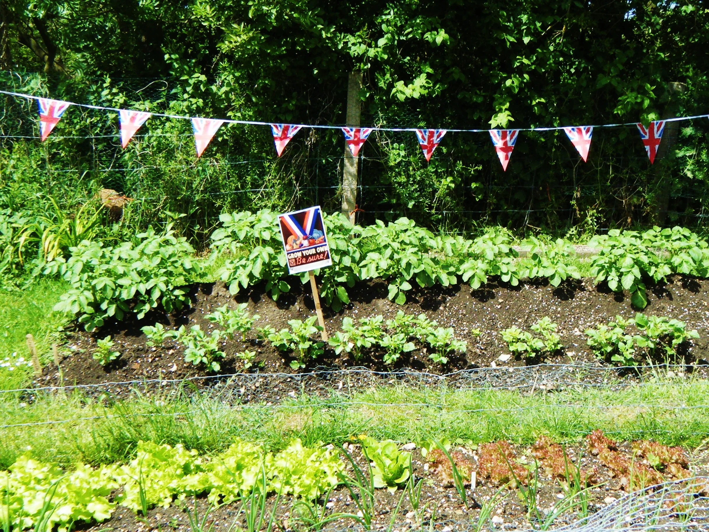 The 1940's Way of Life