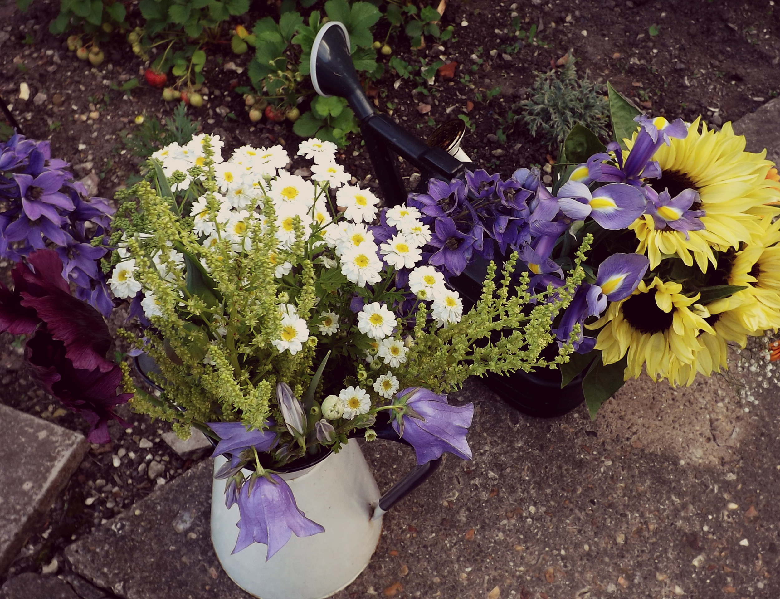 How to Host a Summer Party