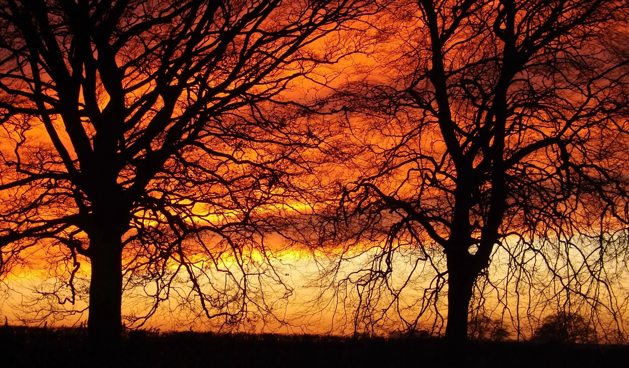 Things to Be Thankful For