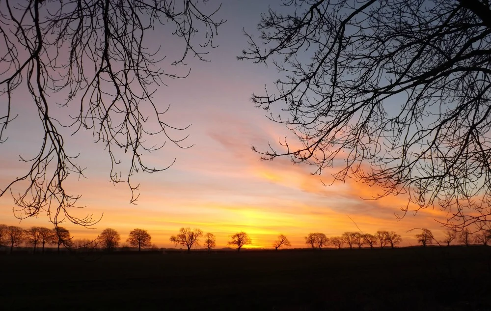 5 Acts of Kindness: March