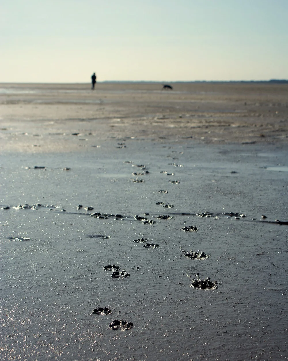 Escape Outdoors: The Beach