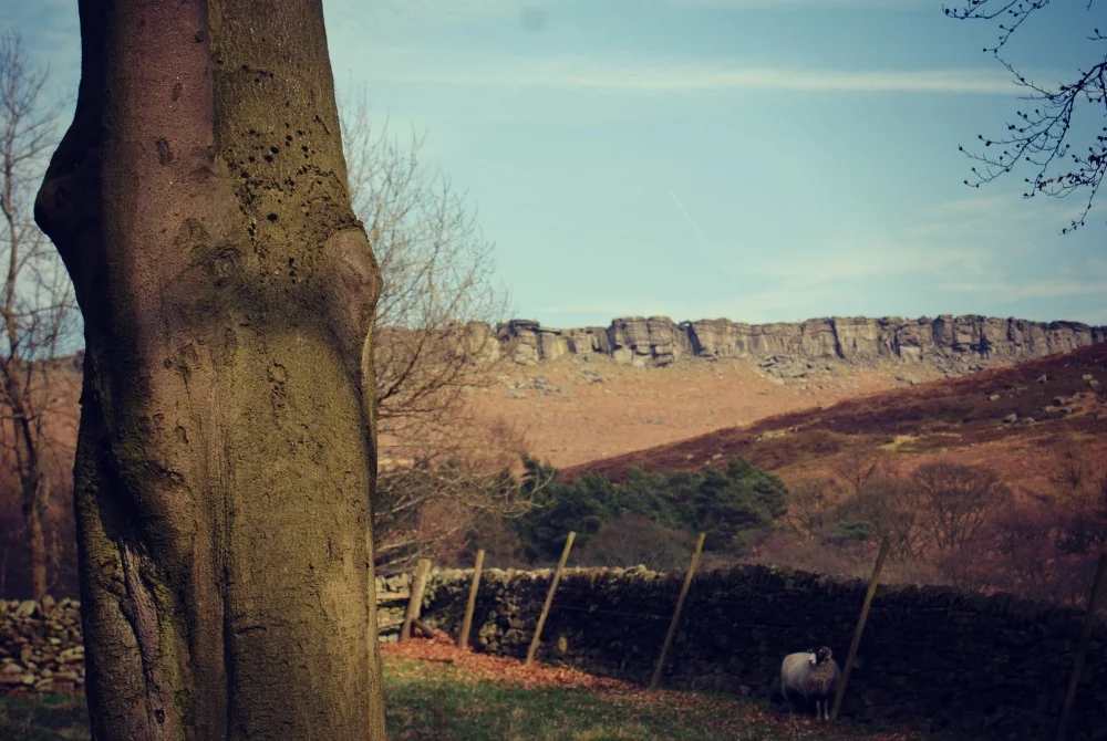 Visit: The Peak District