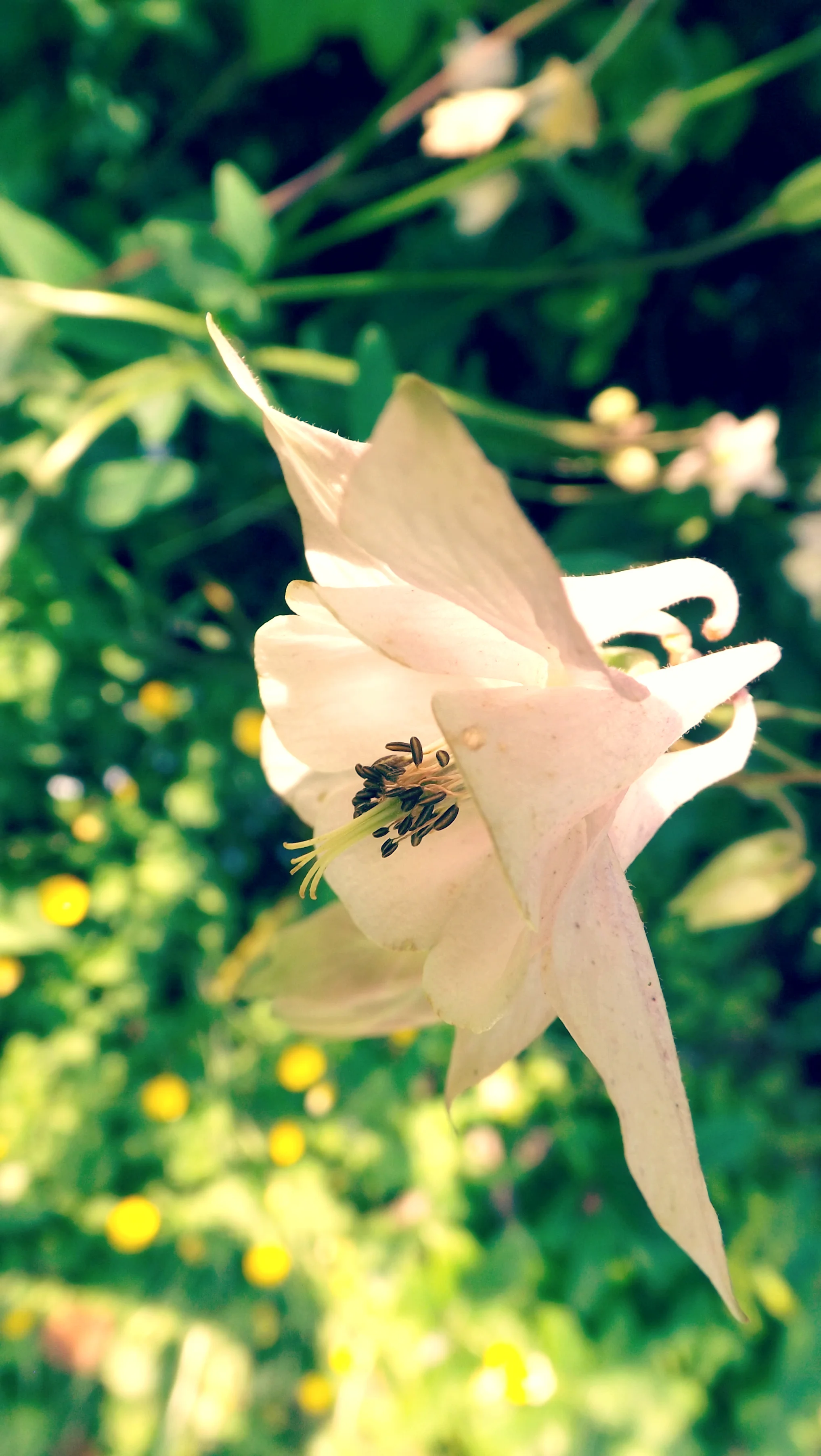 DSCF5287