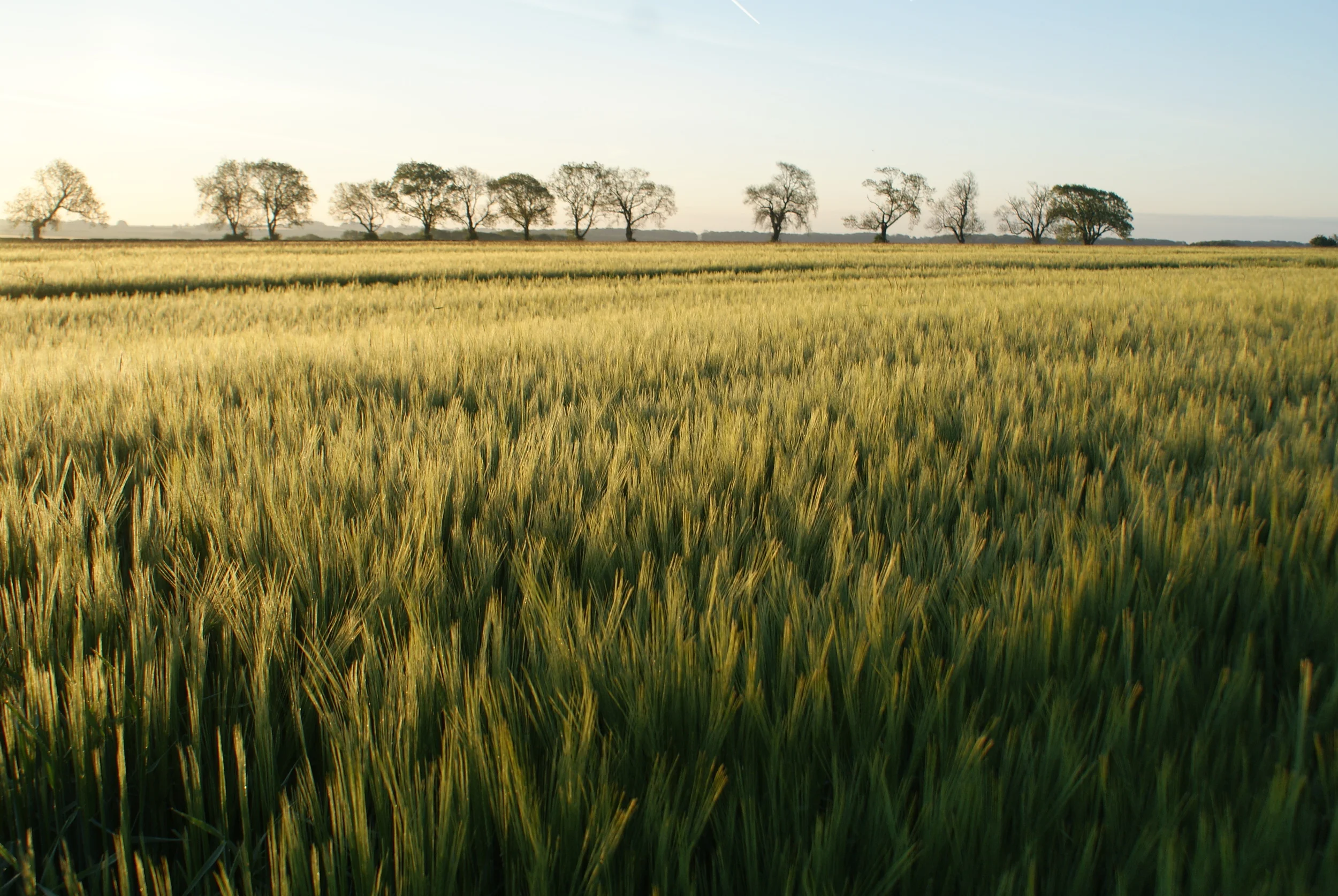 Your Guide to Seasonal Creativity