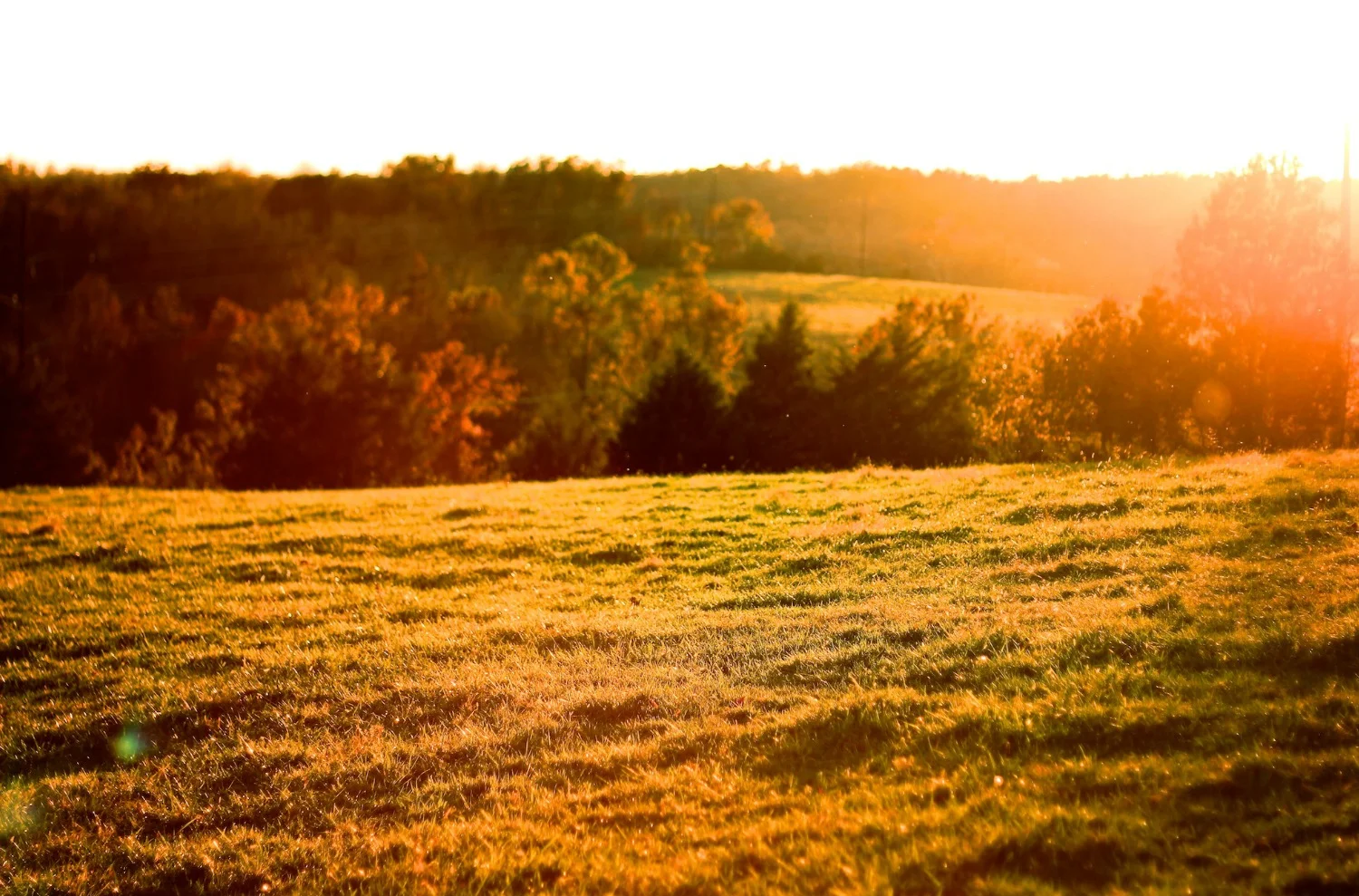 How to Design Your Daily Creative Ritual