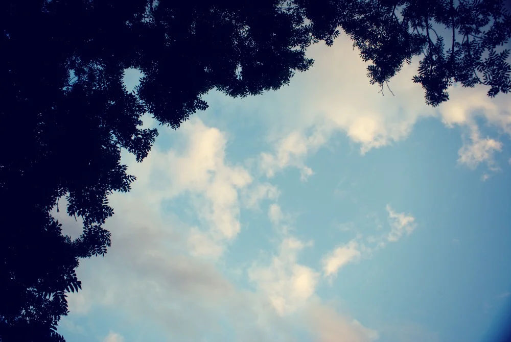 A Slow Living Love List