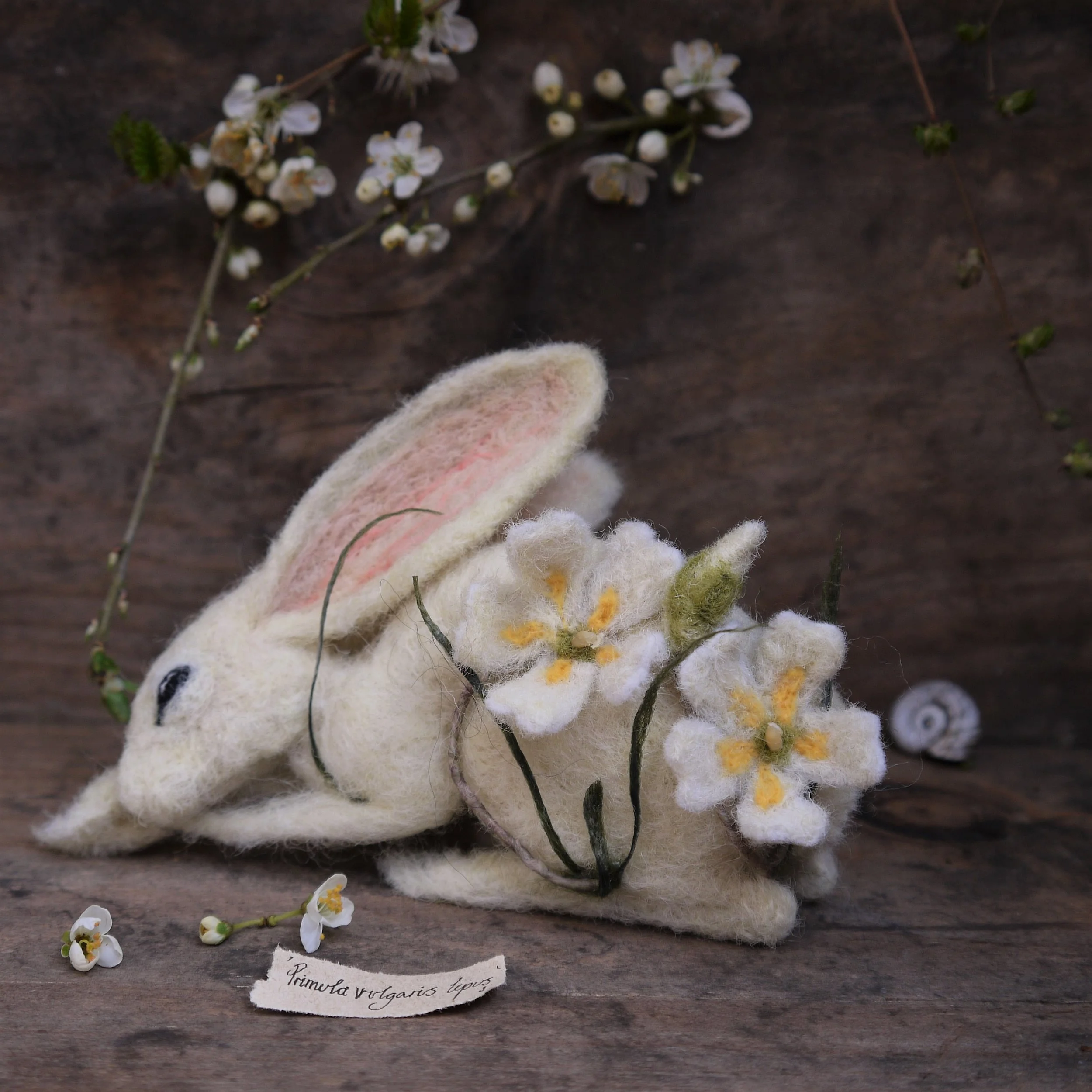 Creative in the Countryside: The Whispering Wild