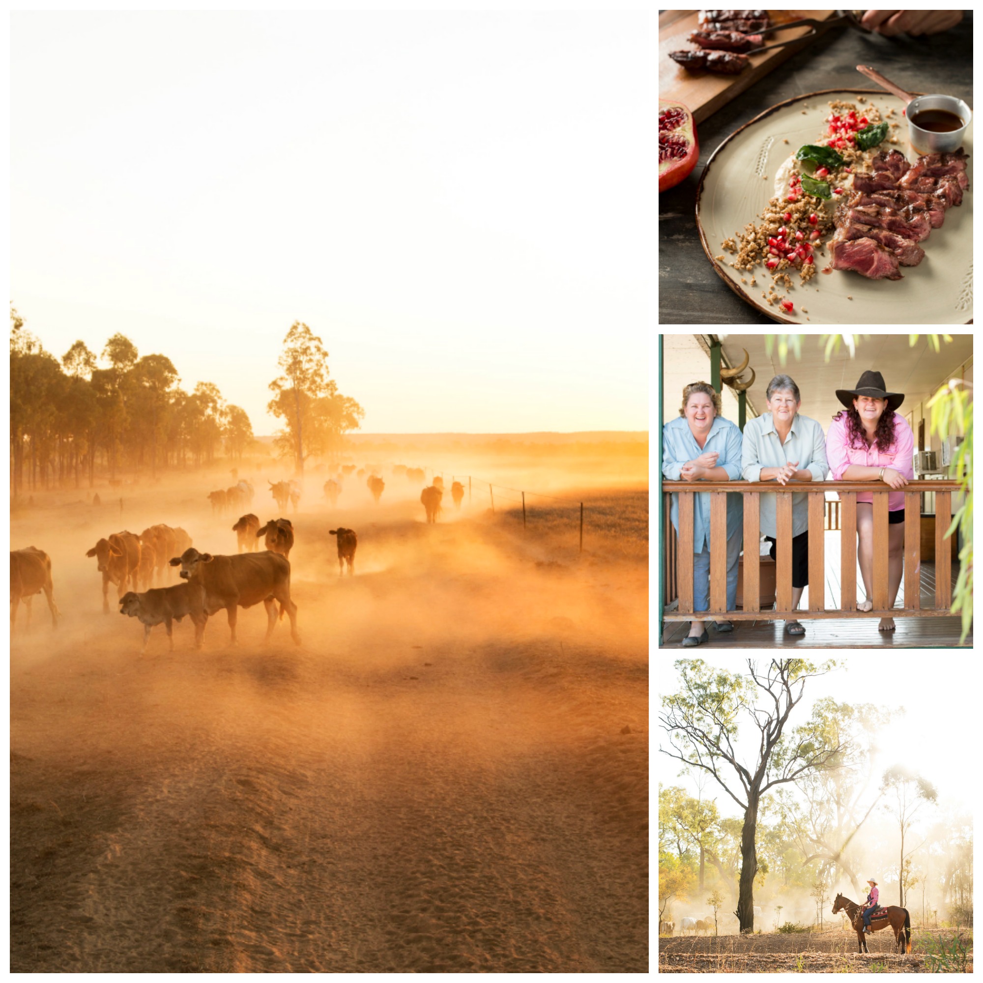 Jervoise Organic Meat