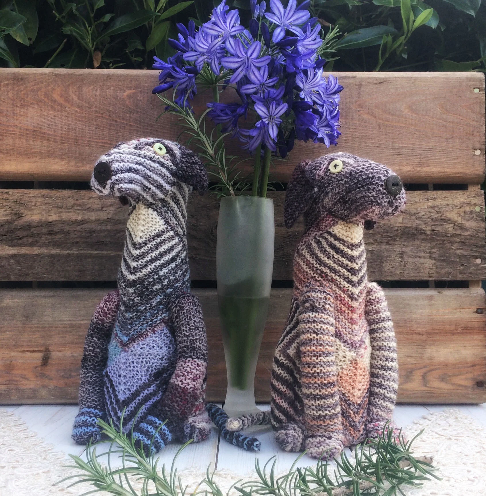 Nicky Barfoot interview Wilmott and Foxglove.jpg