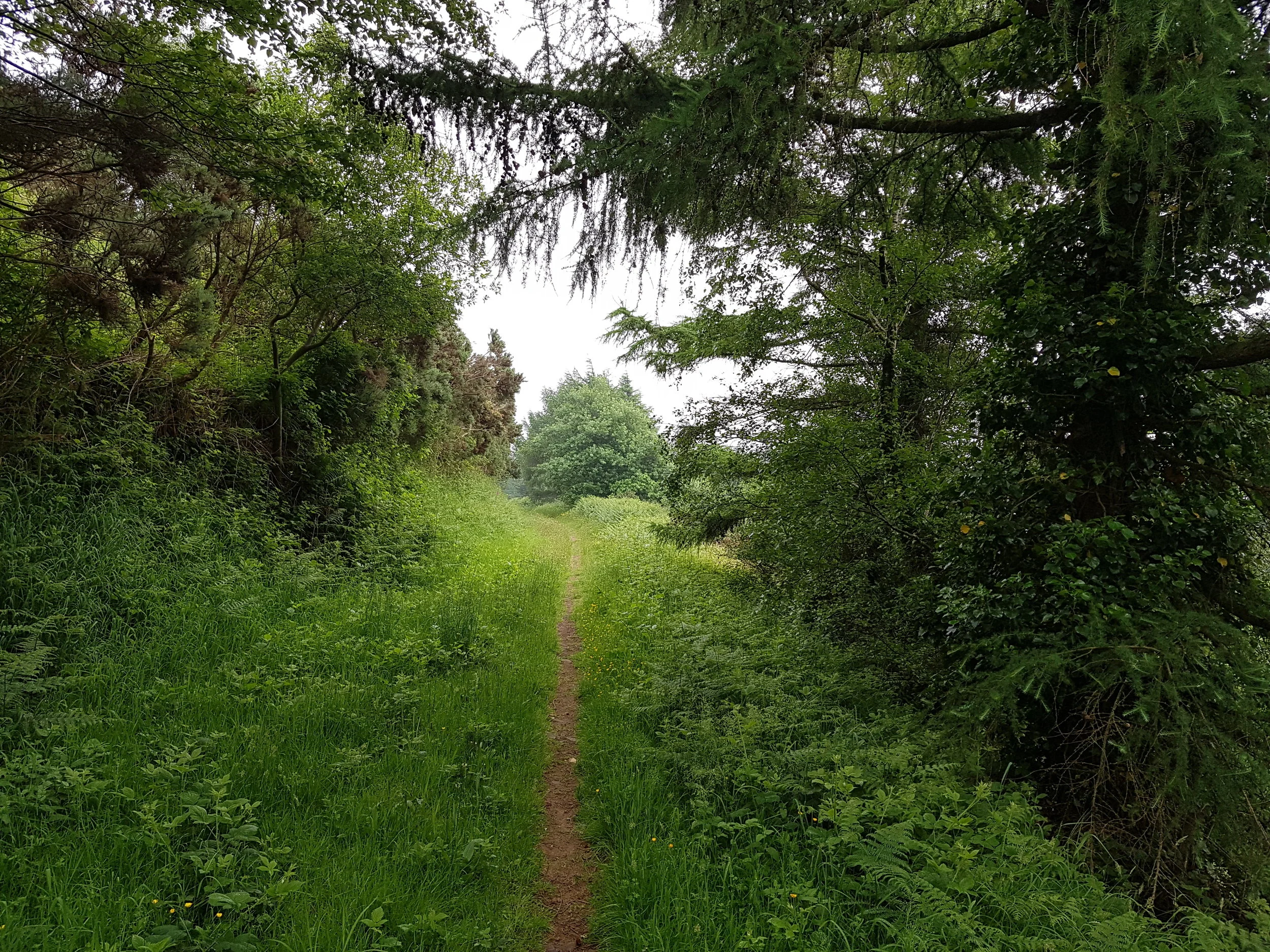 20180530_105221.jpg