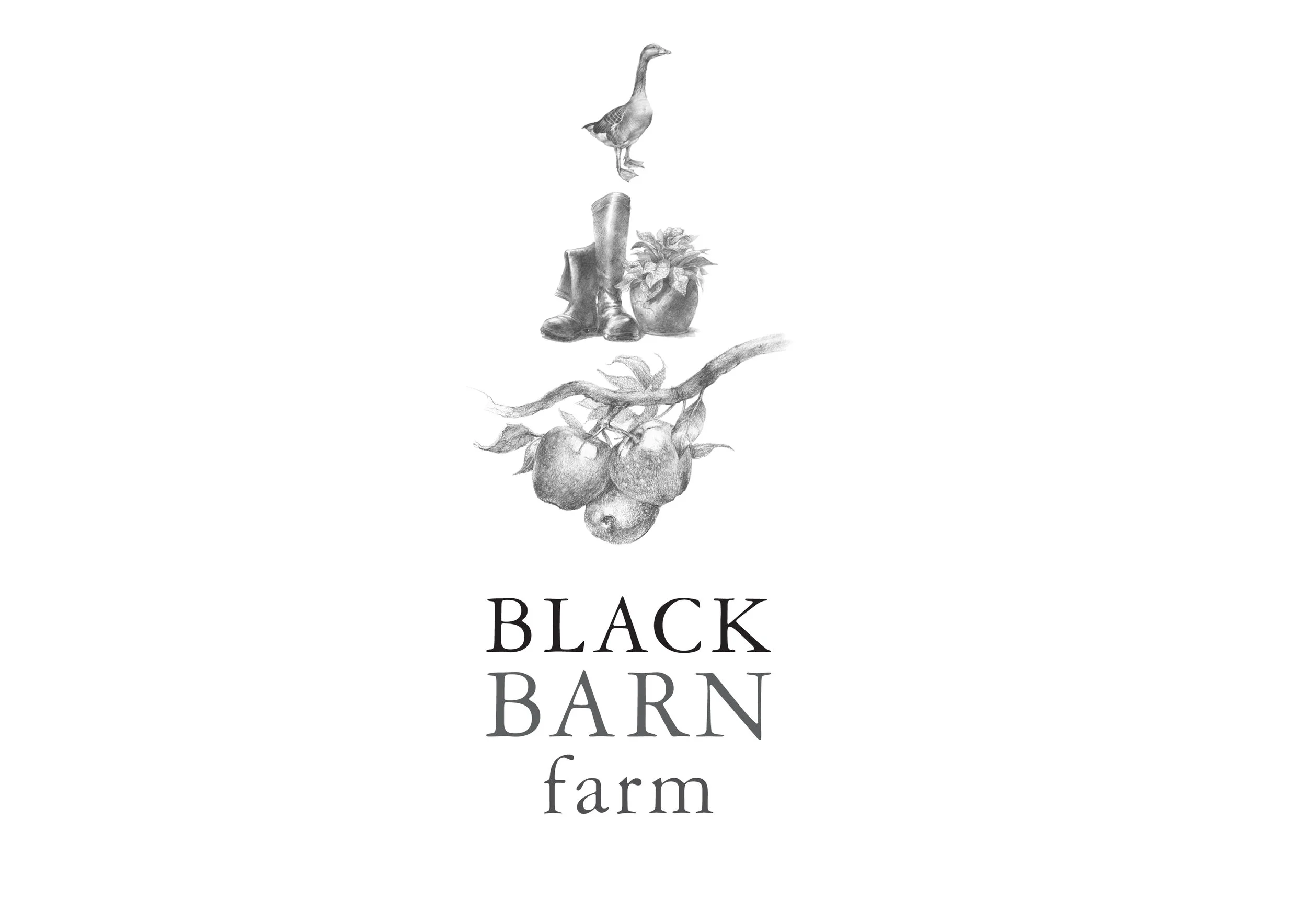 BBF_logo_triple_image.jpg