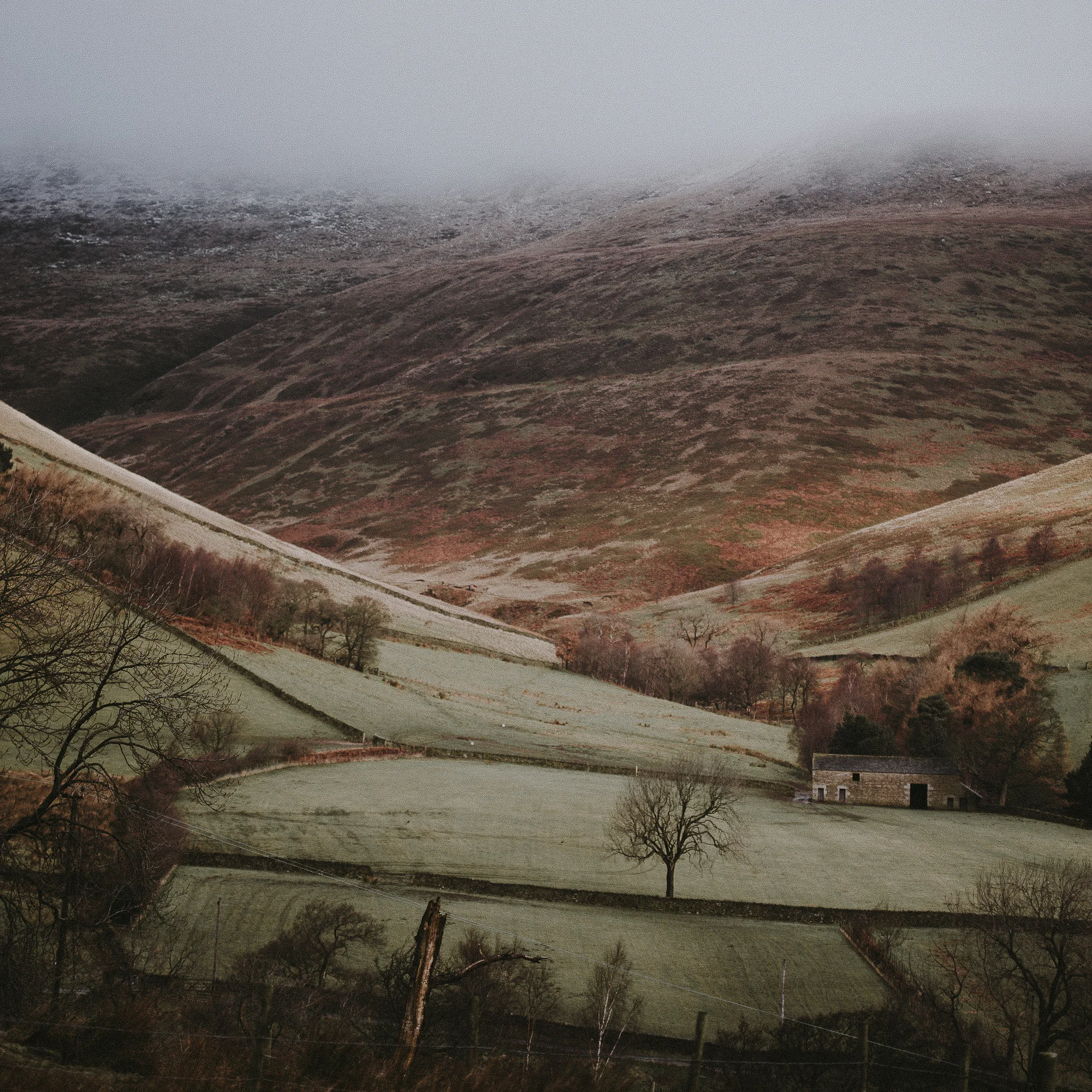 CreativeCountrysideWinterGathering-10-11.jpg