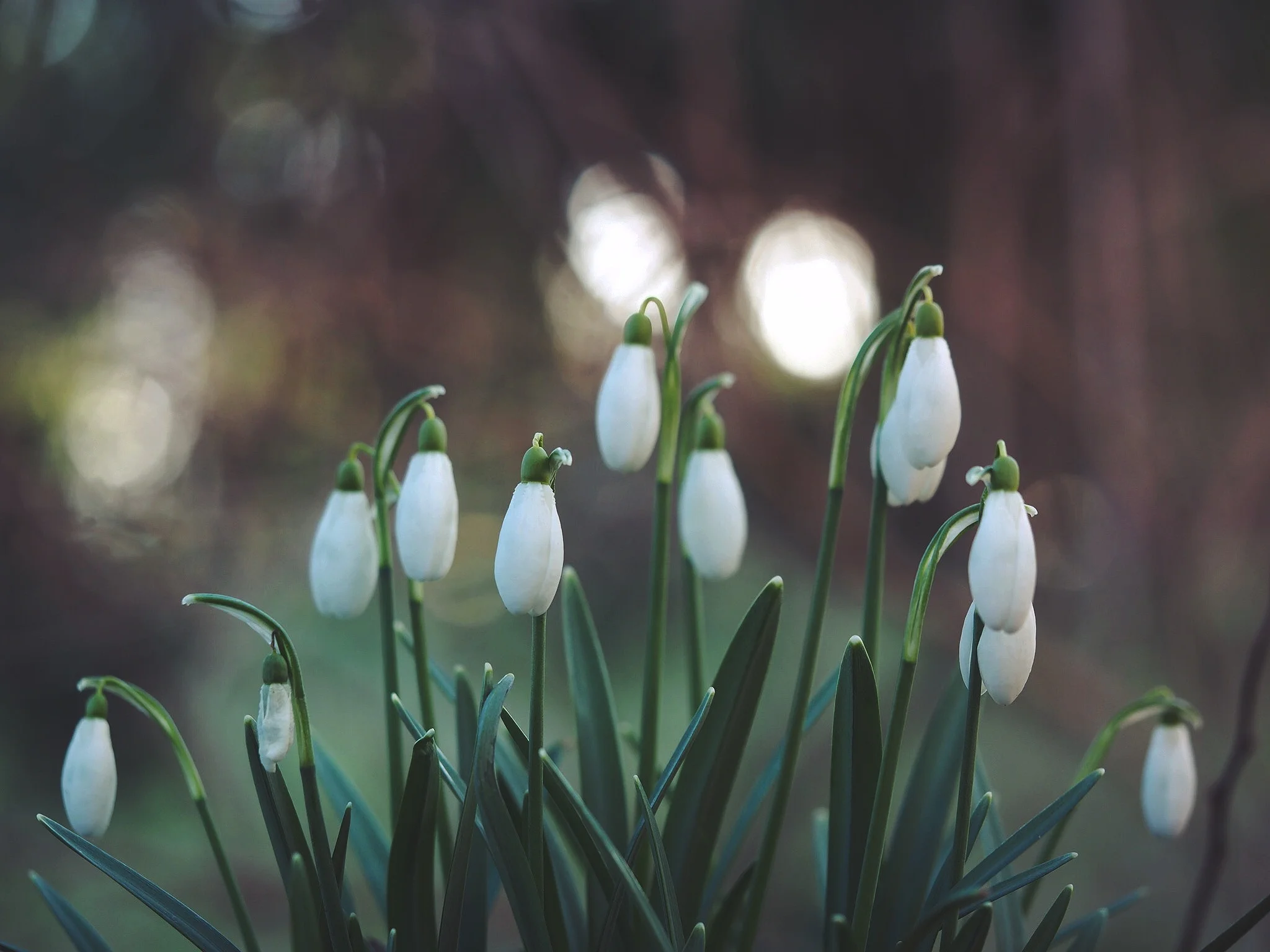 Seasonal Distinctions