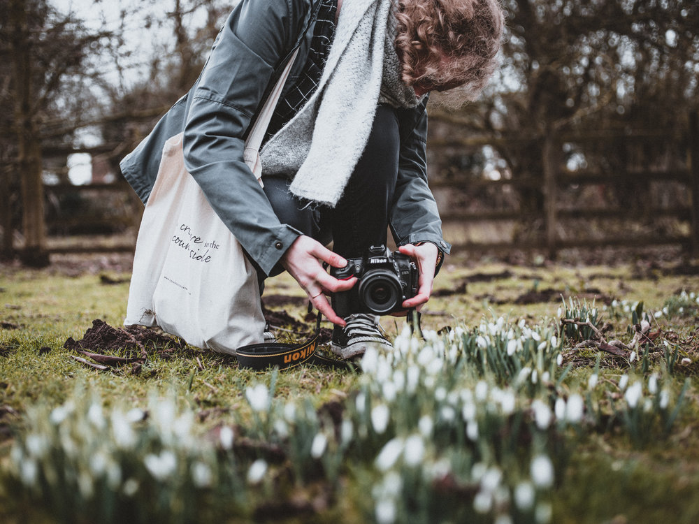 Image by Annie Spratt