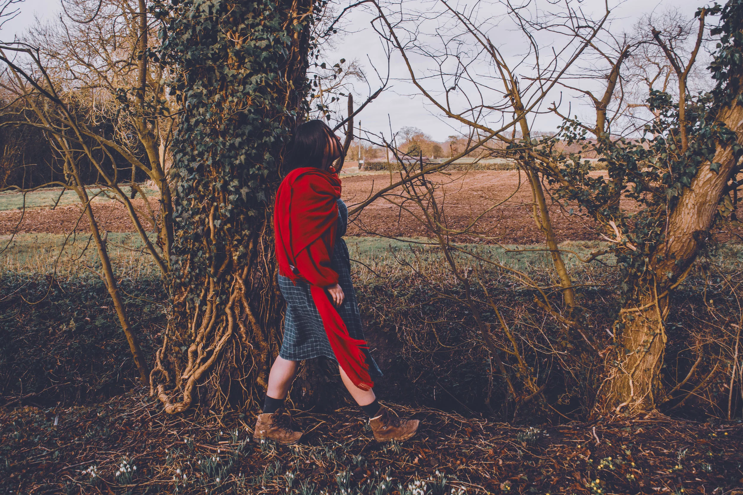 Image by Jessica Townsend