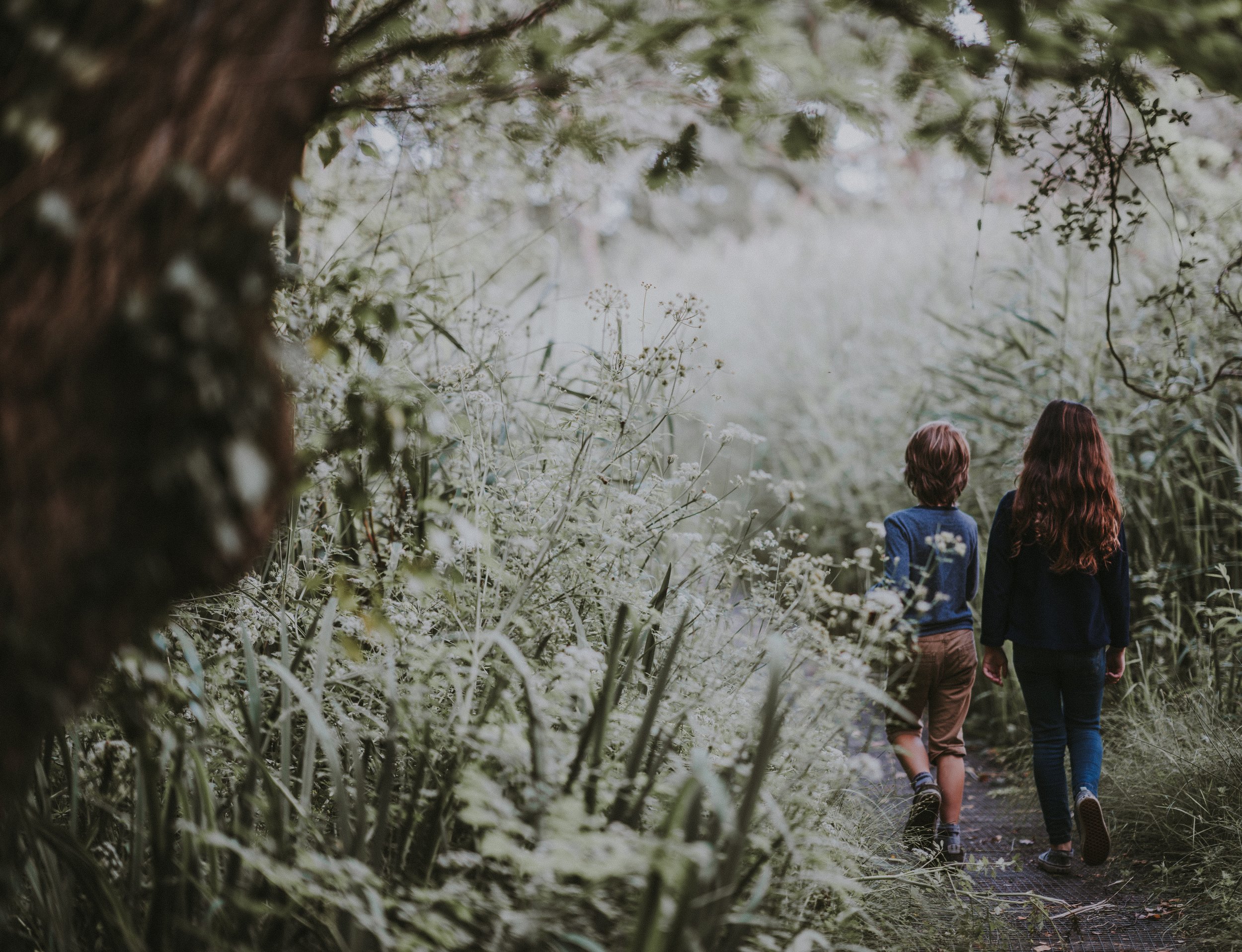 Image by Annie Spratt