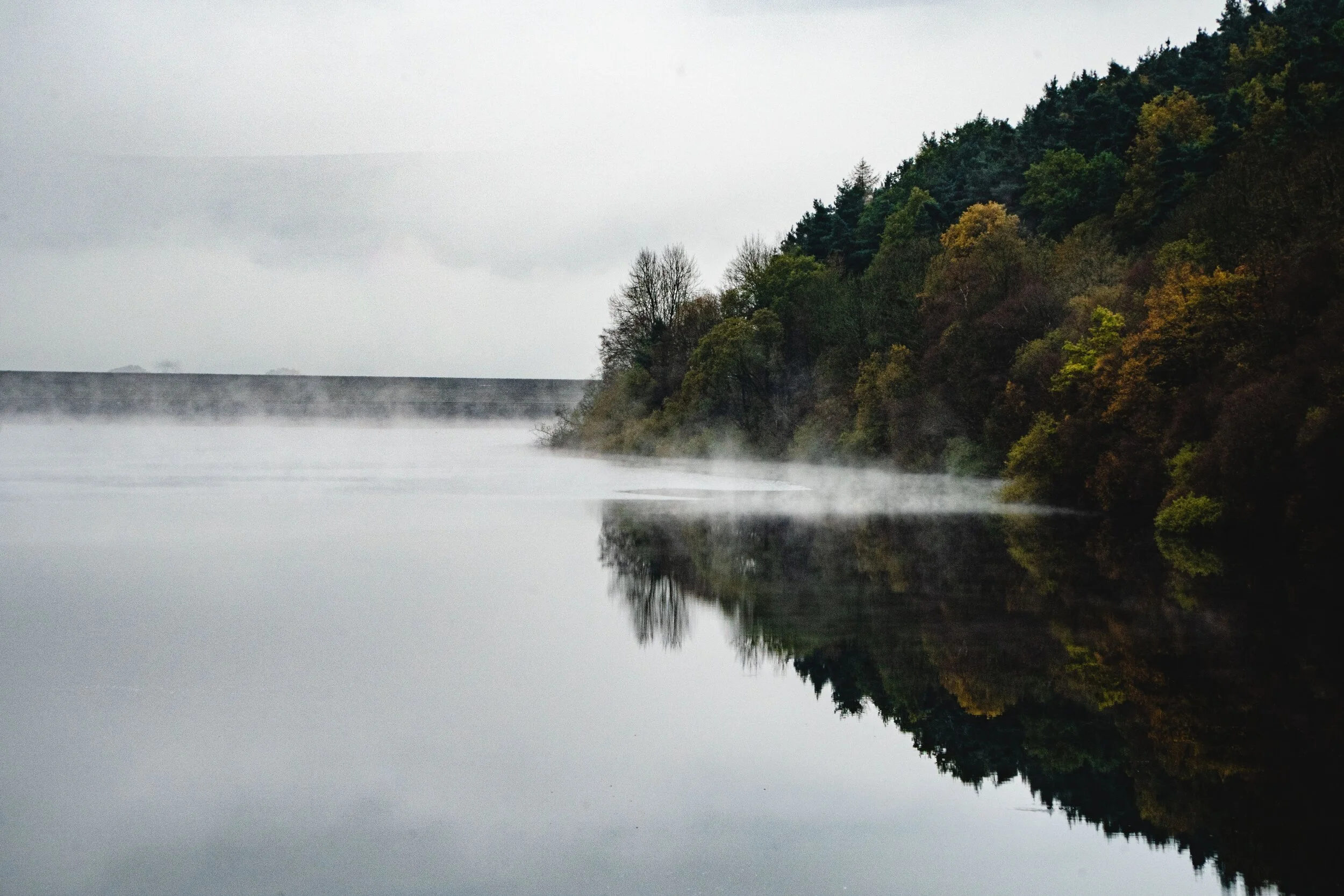 The Journey to Self-Awareness
