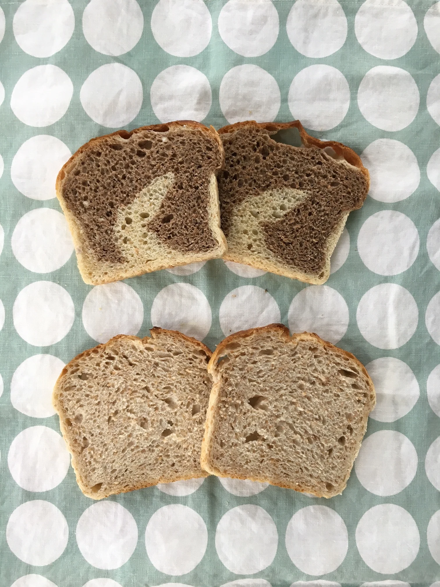 rye sour on green dots.JPG