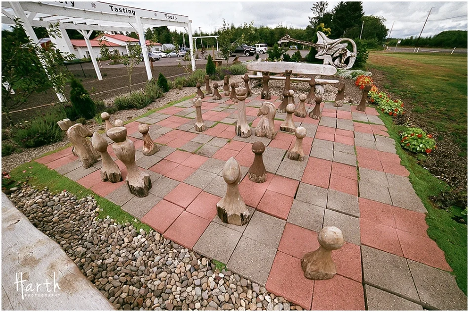 Westport, Washington Chess Game