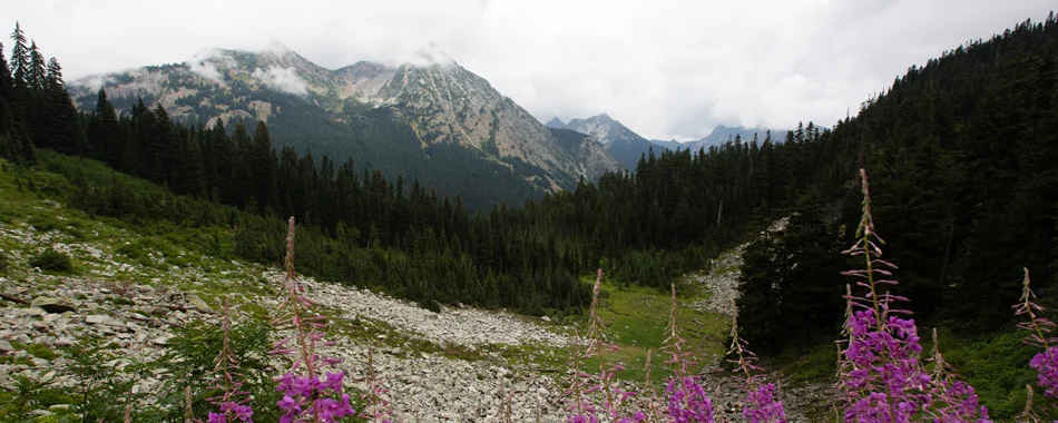 harth-photography-washington-talus-field