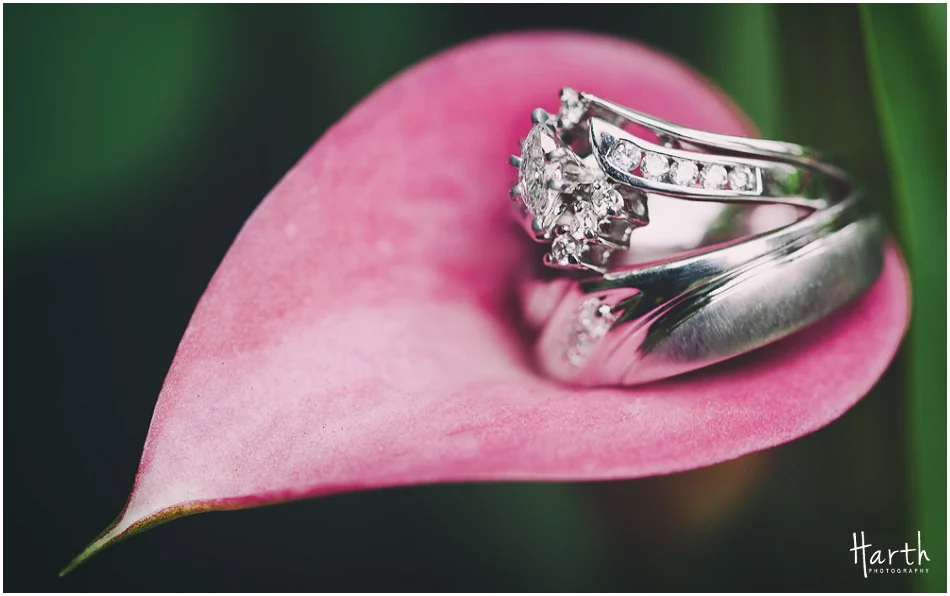 Wedding Rings in Flower Petal