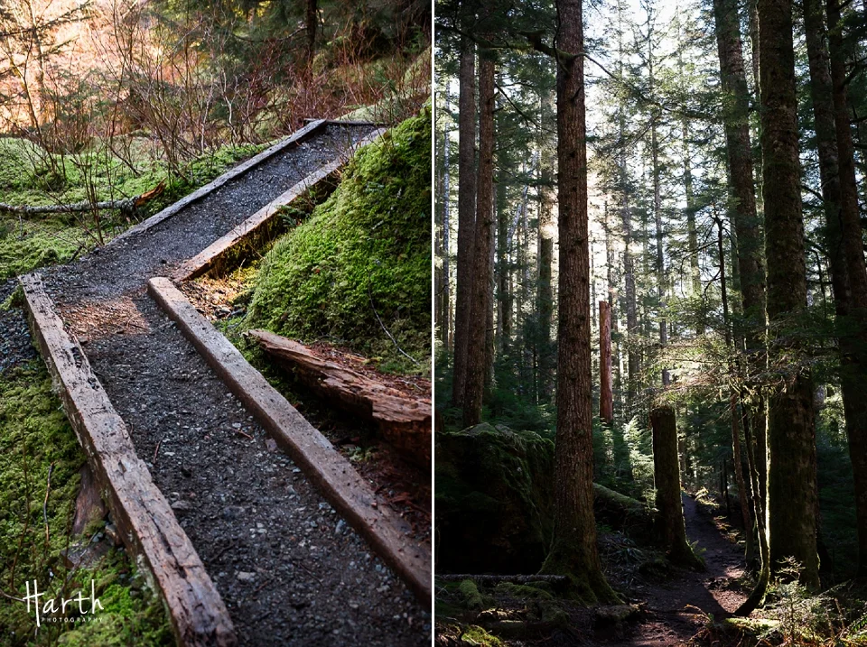 Barclay Lake Washington Trail