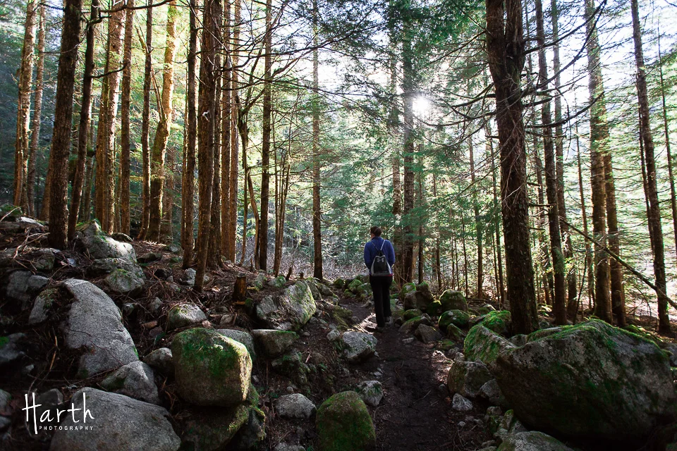 Barclay Lake Washington Trail