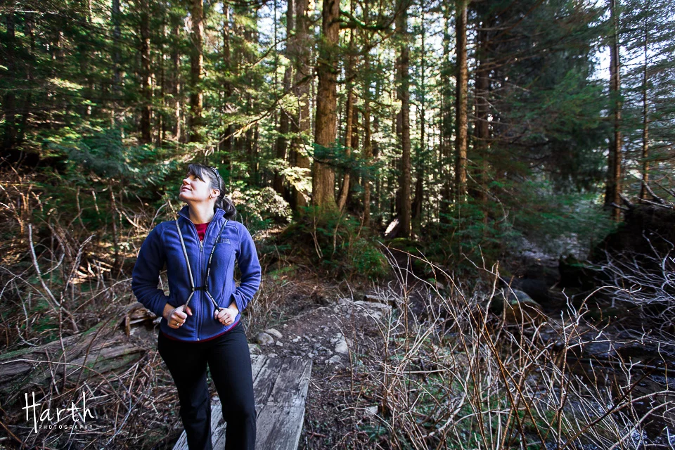 Barclay Lake Washington Trail