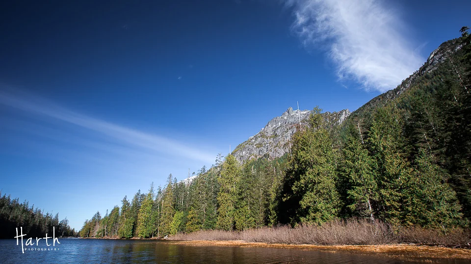 Barclay Lake Washington Trail