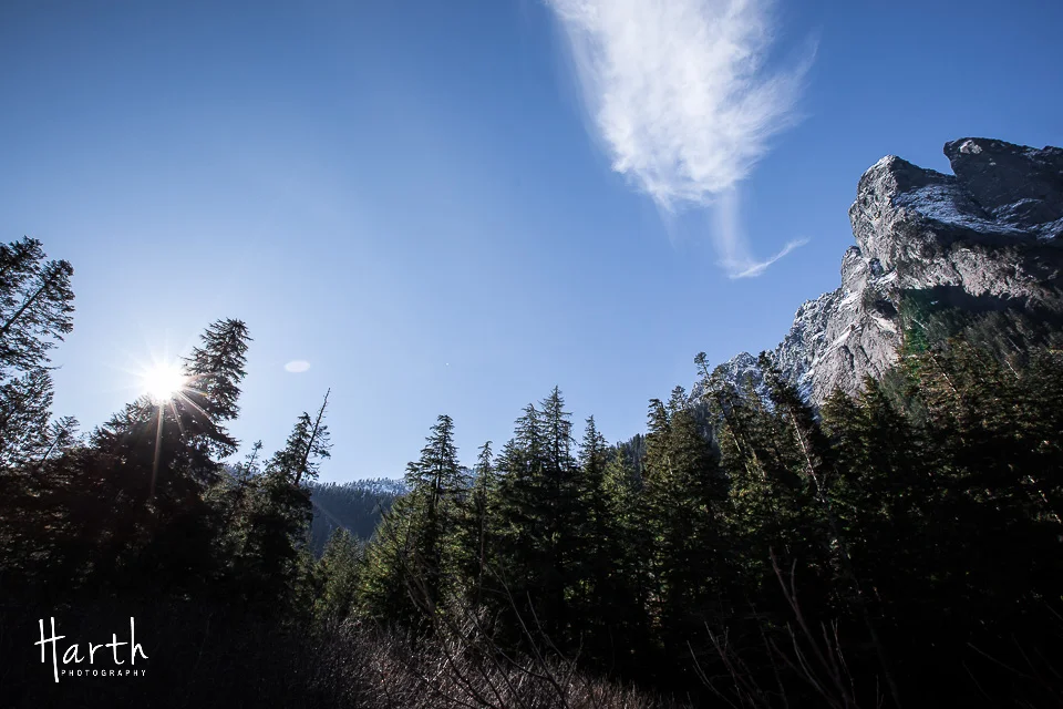Barclay Lake Washington Trail