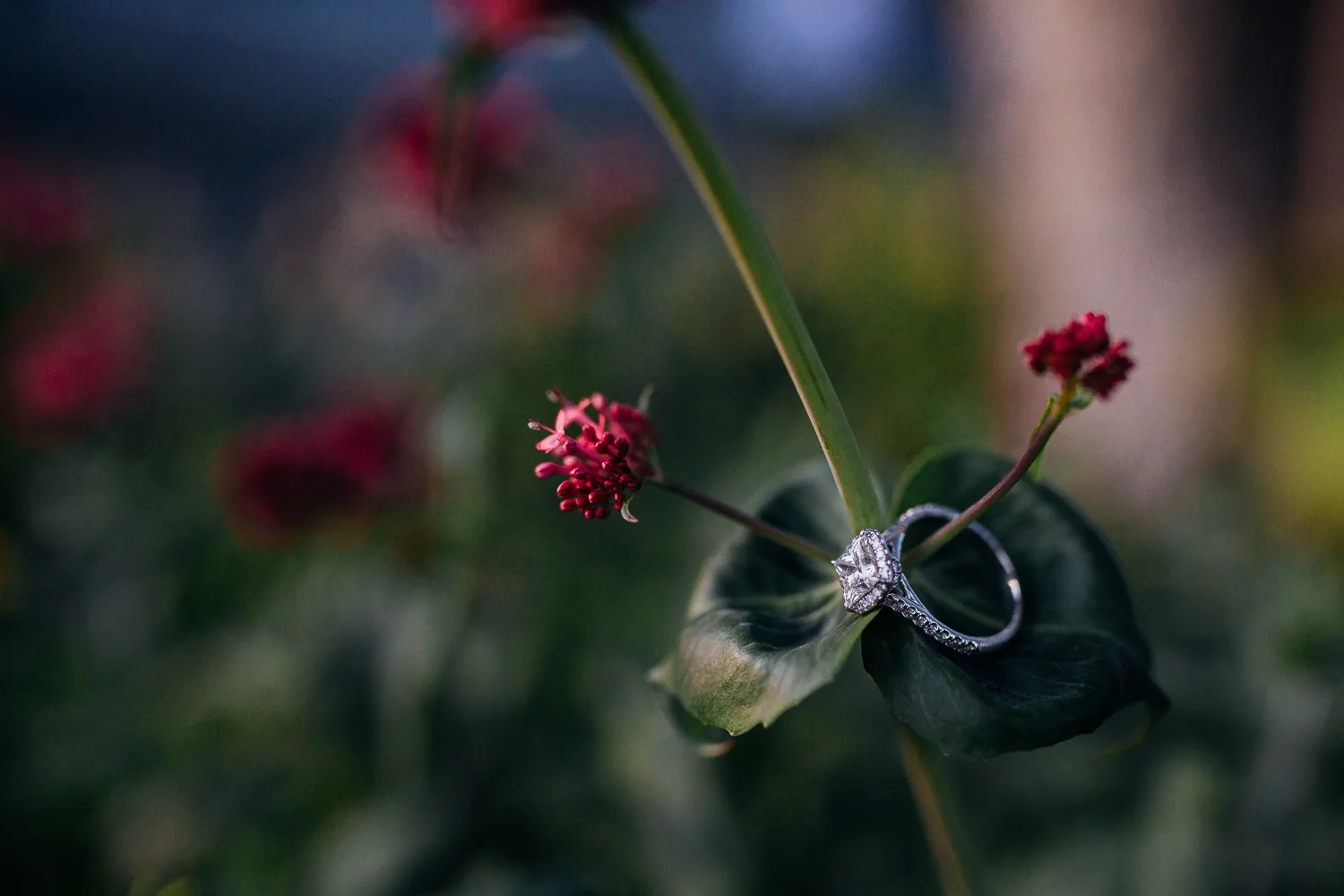 20150427-CHP_1237.jpg