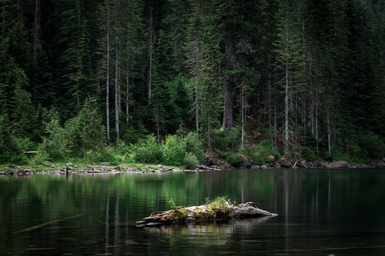 20150621-CHP_4502-Edit.jpg