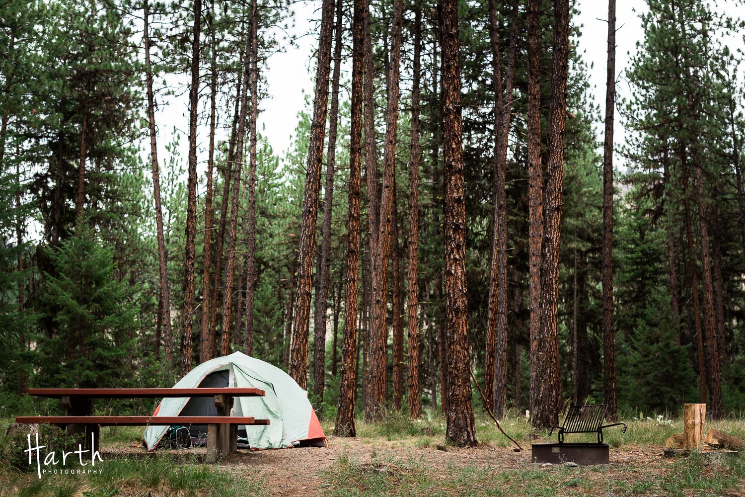 Camping in Montana