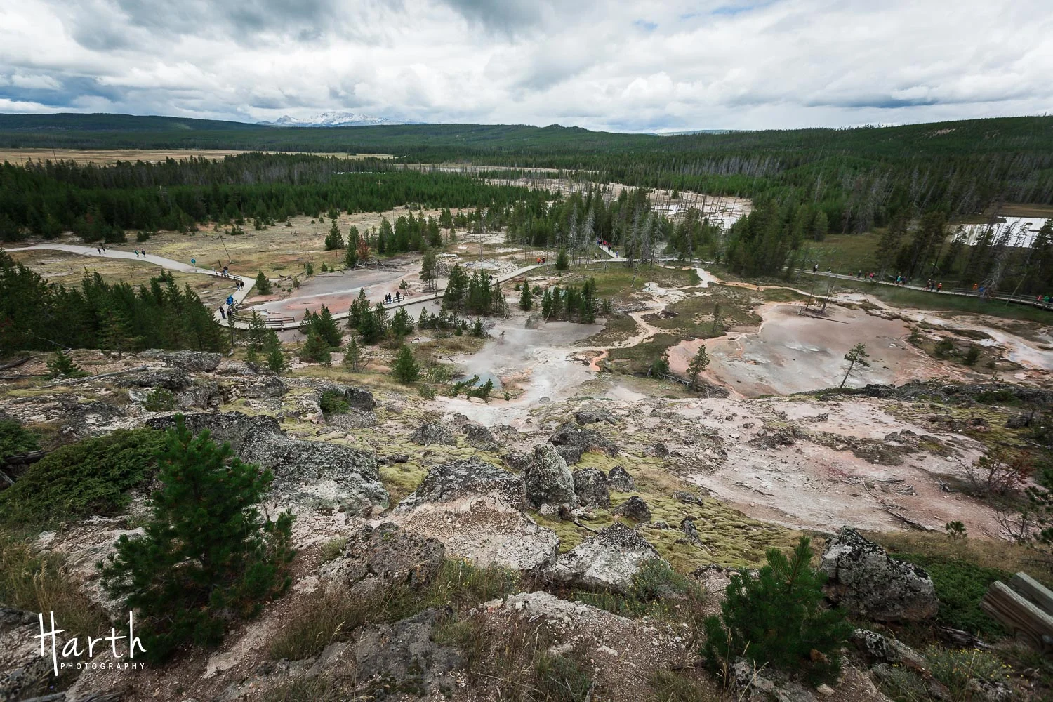20150728-CHP_8785.jpg