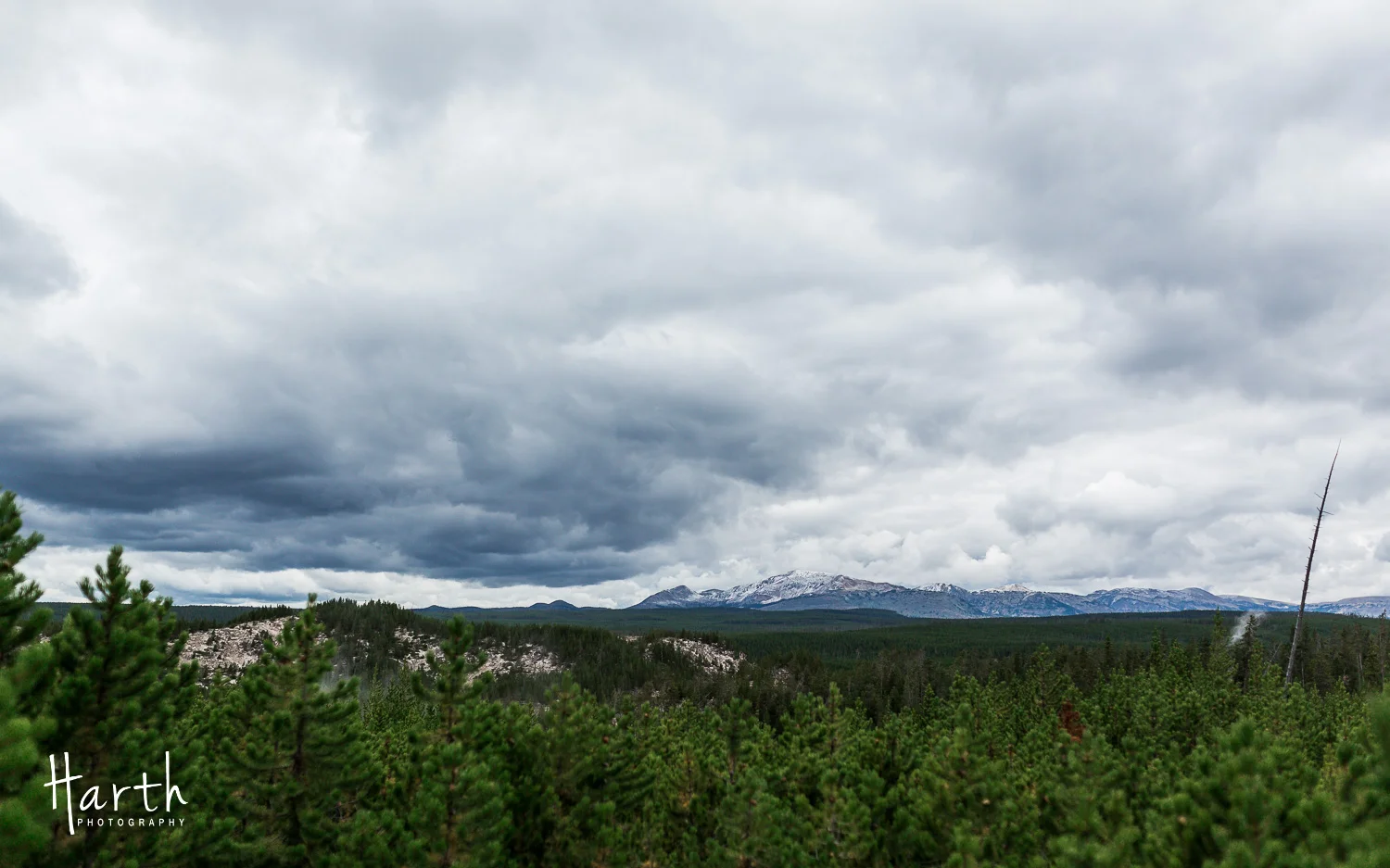 20150728-CHP_8829.jpg