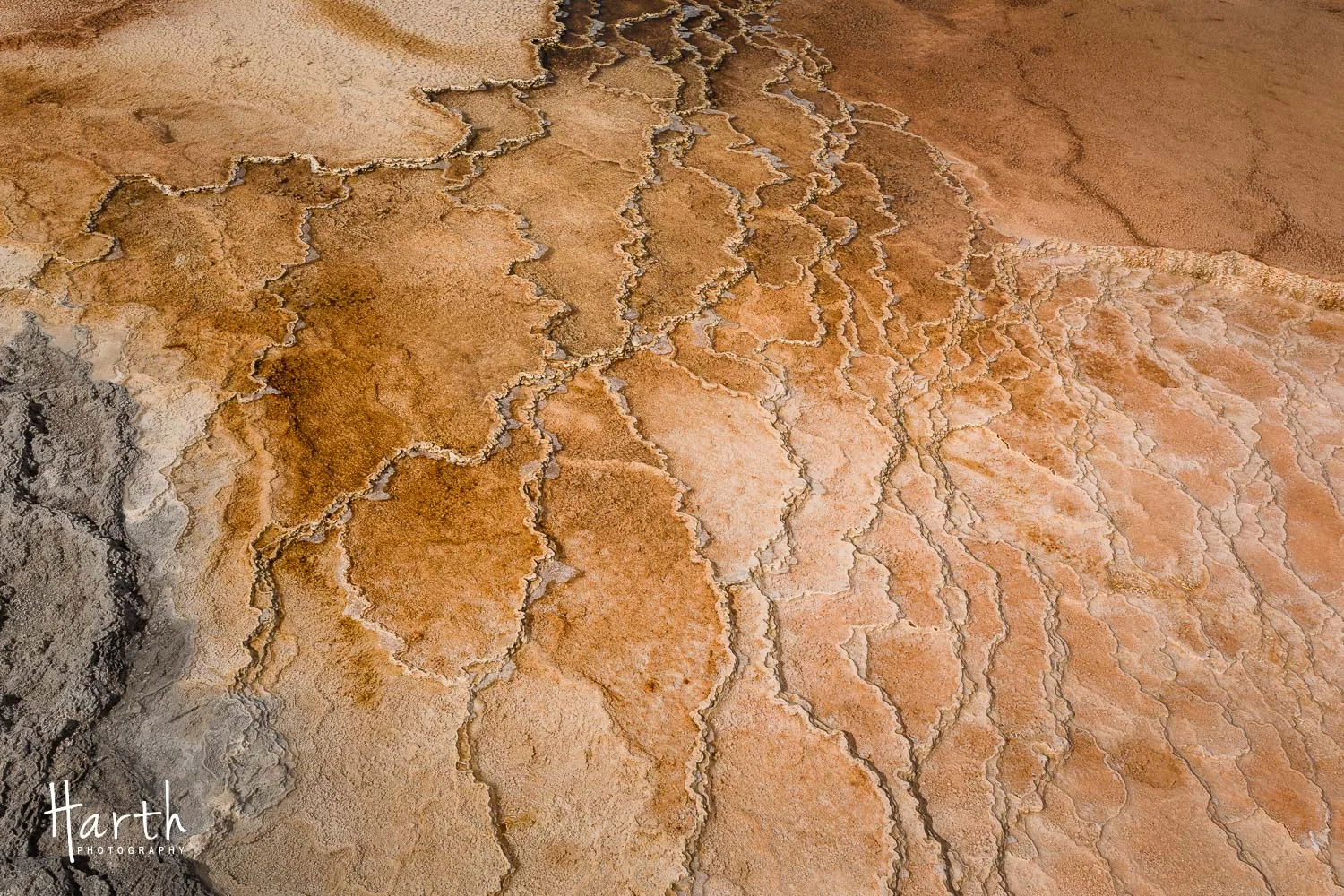 20150728-CHP_8955.jpg