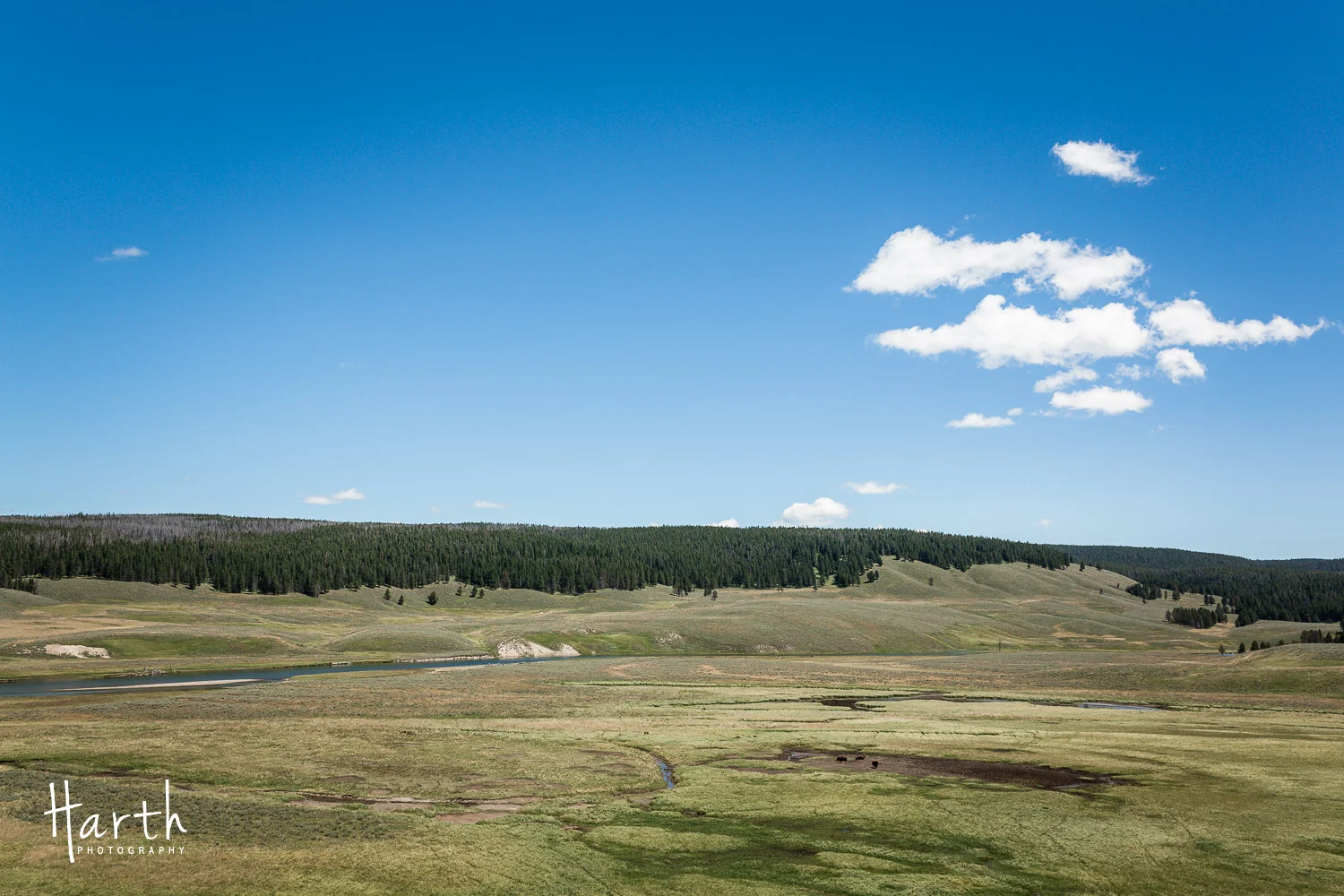 20150729-CHP_9133.jpg