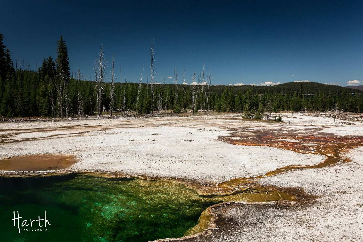 20150729-CHP_9187.jpg