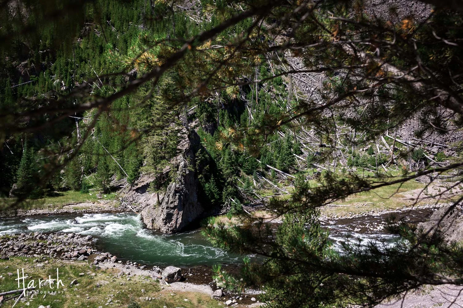 20150730-CHP_9316.jpg