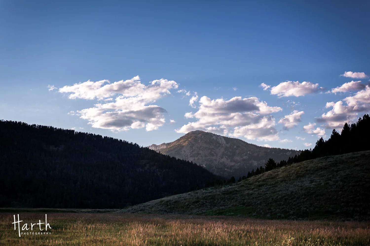 20150730-CHP_9534.jpg