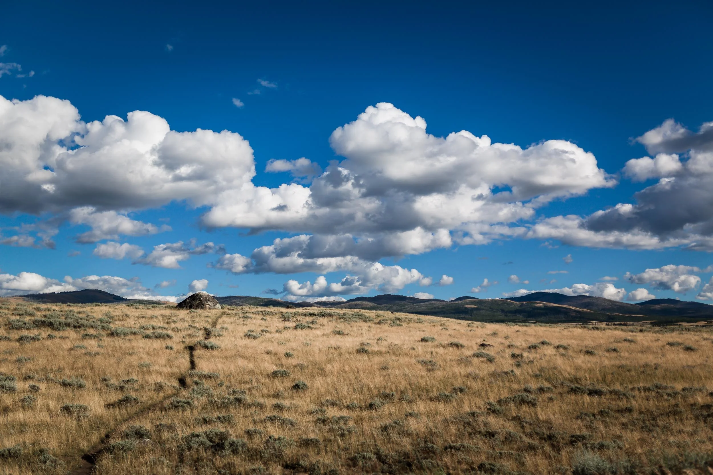 Geysers, Hot Springs & Landscape // Yellowstone National Park, WY
