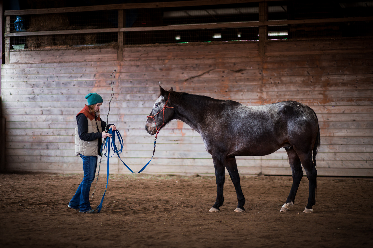 Washington Horse Trainer