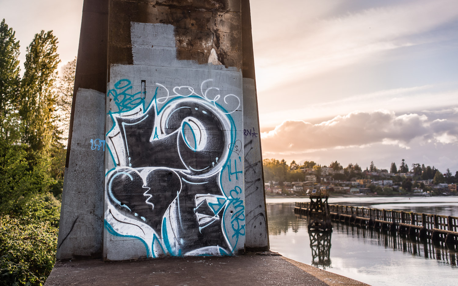 Graffiti Seattle Ballard Locks